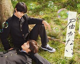 五月天激情网站